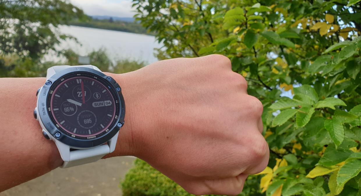 hunde erziehungshalsband vibration Garmin Fenix 6 hier günstig online kaufen